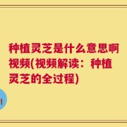 种植灵芝是什么意思啊视频(视频解读：种植灵芝的全过程)