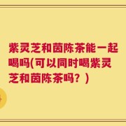 紫灵芝和茵陈茶能一起喝吗(可以同时喝紫灵芝和茵陈茶吗？)