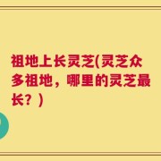 祖地上长灵芝(灵芝众多祖地，哪里的灵芝最长？)