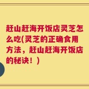 赶山赶海开饭店灵芝怎么吃(灵芝的正确食用方法，赶山赶海开饭店的秘诀！)