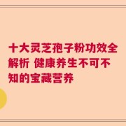 十大灵芝孢子粉功效全解析 健康养生不可不知的宝藏营养