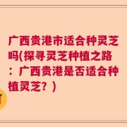广西贵港市适合种灵芝吗(探寻灵芝种植之路：广西贵港是否适合种植灵芝？)