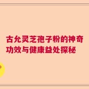 古允灵芝孢子粉的神奇功效与健康益处探秘