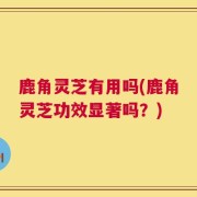 鹿角灵芝有用吗(鹿角灵芝功效显著吗？)