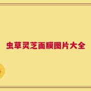 虫草灵芝面膜图片大全