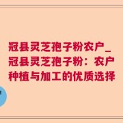 冠县灵芝孢子粉农户_冠县灵芝孢子粉：农户种植与加工的优质选择