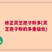 修正灵芝孢子粉多(灵芝孢子粉的多重益处)