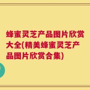 蜂蜜灵芝产品图片欣赏大全(精美蜂蜜灵芝产品图片欣赏合集)