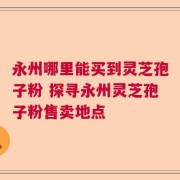 永州哪里能买到灵芝孢子粉 探寻永州灵芝孢子粉售卖地点