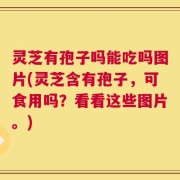 灵芝有孢子吗能吃吗图片(灵芝含有孢子，可食用吗？看看这些图片。)