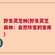 野生灵芝林(野生灵芝森林：自然珍宝的宝库)