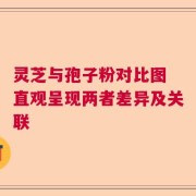 灵芝与孢子粉对比图 直观呈现两者差异及关联