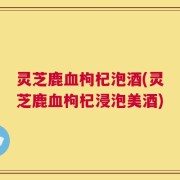 灵芝鹿血枸杞泡酒(灵芝鹿血枸杞浸泡美酒)
