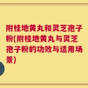 附桂地黄丸和灵芝孢子粉(附桂地黄丸与灵芝孢子粉的功效与适用场景)
