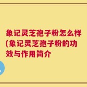 象记灵芝孢子粉怎么样(象记灵芝孢子粉的功效与作用简介