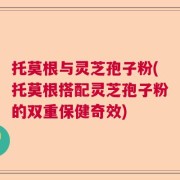 托莫根与灵芝孢子粉(托莫根搭配灵芝孢子粉的双重保健奇效)