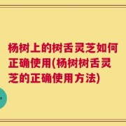 杨树上的树舌灵芝如何正确使用(杨树树舌灵芝的正确使用方法)