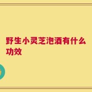 野生小灵芝泡酒有什么功效