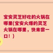宝安灵芝好吃的火锅在哪里(宝安火爆的灵芝火锅在哪里，快来尝一口！)