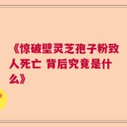 《惊破壁灵芝孢子粉致人死亡 背后究竟是什么》