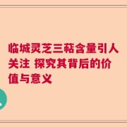 临城灵芝三萜含量引人关注 探究其背后的价值与意义