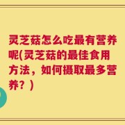 灵芝菇怎么吃最有营养呢(灵芝菇的最佳食用方法，如何摄取最多营养？)
