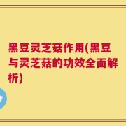 黑豆灵芝菇作用(黑豆与灵芝菇的功效全面解析)