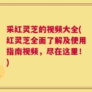 采红灵芝的视频大全(红灵芝全面了解及使用指南视频，尽在这里！)