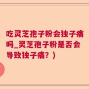 吃灵芝孢子粉会独子痛吗_灵芝孢子粉是否会导致独子痛？)
