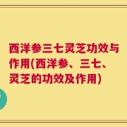 西洋参三七灵芝功效与作用(西洋参、三七、灵芝的功效及作用)