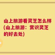 山上旅游看灵芝怎么样(山上旅游：赏识灵芝的好去处)