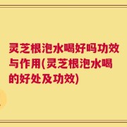 灵芝根泡水喝好吗功效与作用(灵芝根泡水喝的好处及功效)