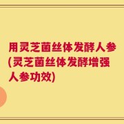 用灵芝菌丝体发酵人参(灵芝菌丝体发酵增强人参功效)