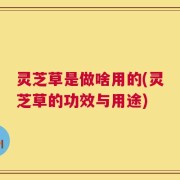 灵芝草是做啥用的(灵芝草的功效与用途)