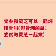 党参和灵芝可以一起炖排骨吗(排骨炖菌草：尝试与灵芝一起煮)