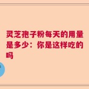 灵芝孢子粉每天的用量是多少：你是这样吃的吗