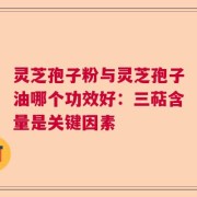 灵芝孢子粉与灵芝孢子油哪个功效好：三萜含量是关键因素