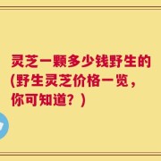 灵芝一颗多少钱野生的(野生灵芝价格一览，你可知道？)