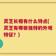 灵芝长相有什么特点(灵芝有哪些独特的外观特征？)