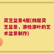 灵芝盆景4层(四层灵芝盆景，添枝添叶的艺术盆景制作)