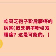 吃灵芝孢子粉后腰疼的厉害(灵芝孢子粉引发腰痛？这是可能的。)