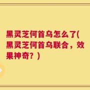 黑灵芝何首乌怎么了(黑灵芝何首乌联合，效果神奇？)