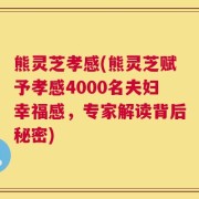 熊灵芝孝感(熊灵芝赋予孝感4000名夫妇幸福感，专家解读背后秘密)