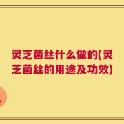 灵芝菌丝什么做的(灵芝菌丝的用途及功效)