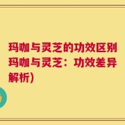 玛咖与灵芝的功效区别玛咖与灵芝：功效差异解析)