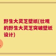 野生大灵芝壁纸(壮观的野生大灵芝突破壁纸设计)