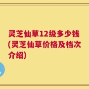 灵芝仙草12级多少钱(灵芝仙草价格及档次介绍)