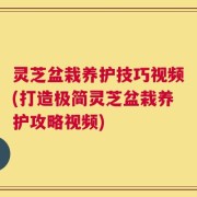 灵芝盆栽养护技巧视频(打造极简灵芝盆栽养护攻略视频)