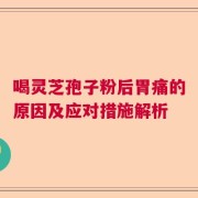喝灵芝孢子粉后胃痛的原因及应对措施解析