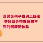 当灵芝孢子粉遇上蜂蜜 奇妙融合带来意想不到的健康新体验